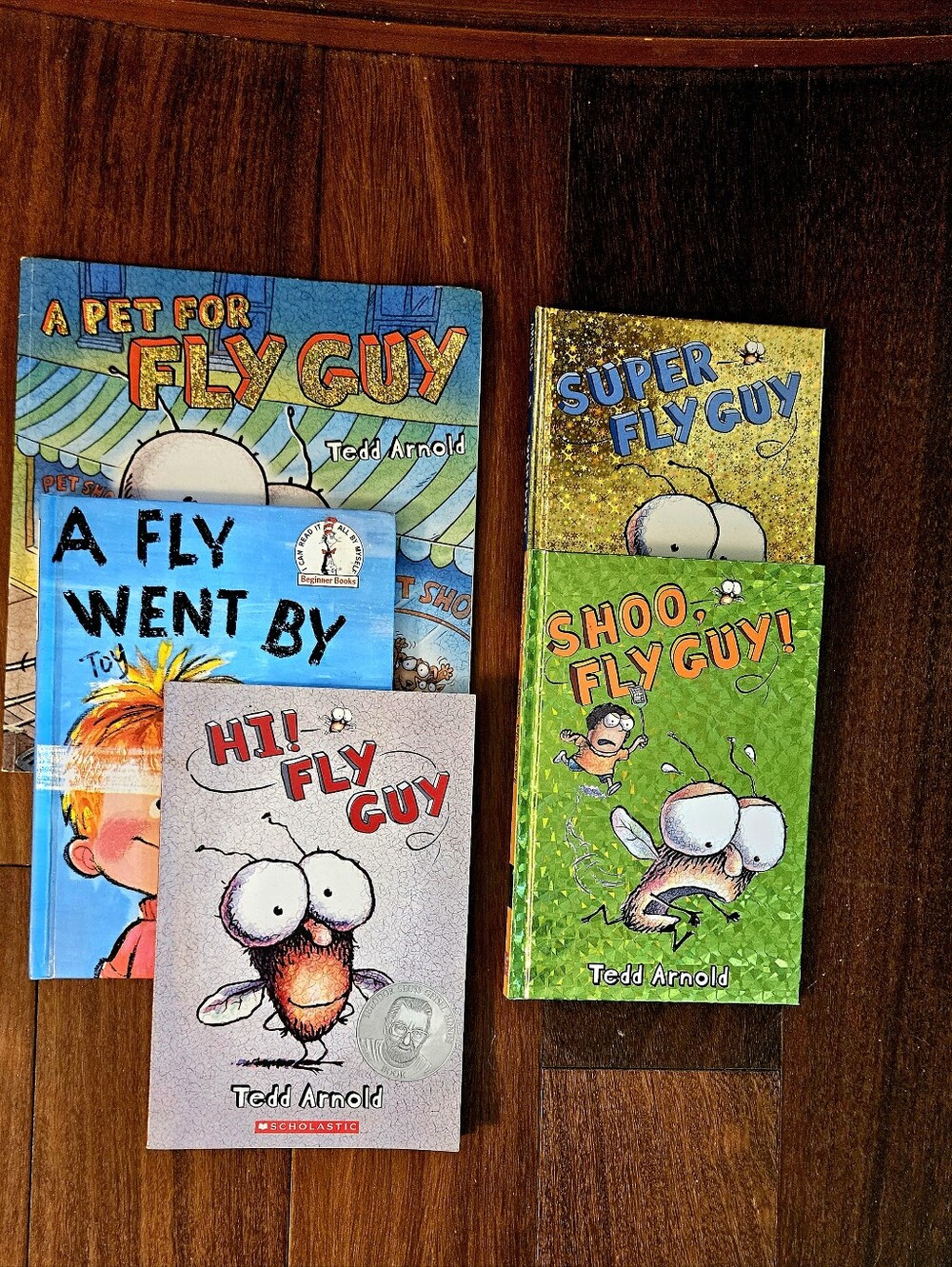 Fly Guy Kids Book Set